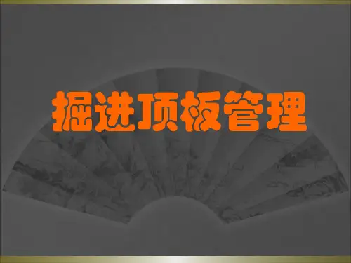 《煤矿顶板管理》PPT课件