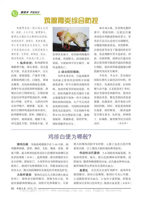 鸡腺胃炎综合防控