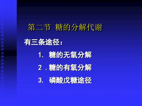糖的分解代谢