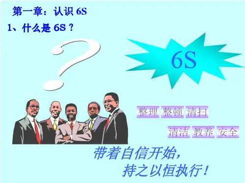 最新6S培训教材精编版