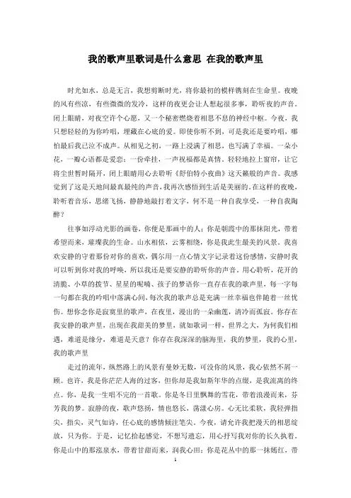 我的歌声里歌词是什么意思 在我的歌声里