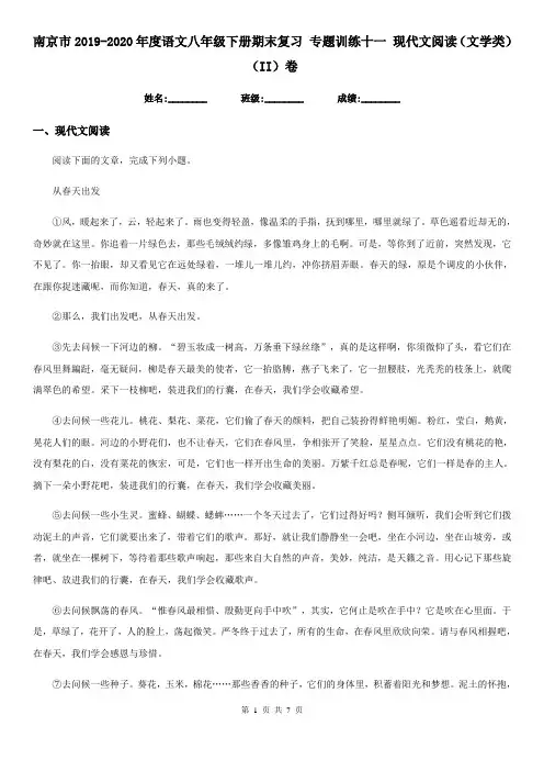 南京市2019-2020年度语文八年级下册期末复习 专题训练十一 现代文阅读(文学类)(II)卷