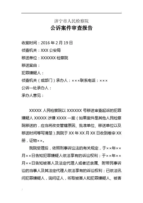 审查报告模板