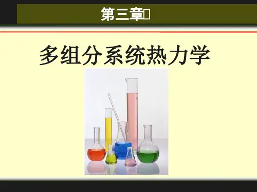 多组分系统热力学ppt课件