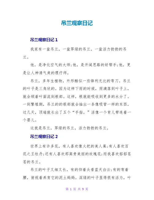 吊兰观察日记