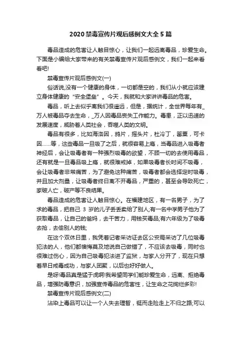 2020禁毒宣传片观后感例文大全5篇
