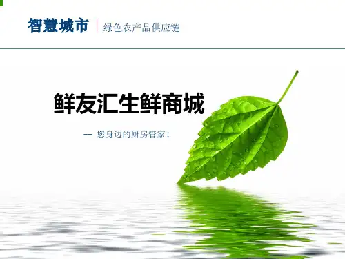 某生鲜超市电子商务平台策划项目商业计划书(修订完整版)