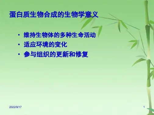 蛋白质的生物合成(共106张PPT)