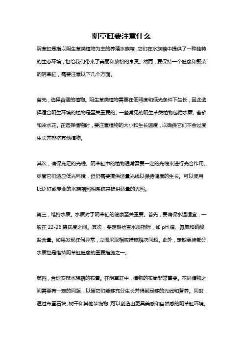 阴草缸要注意什么