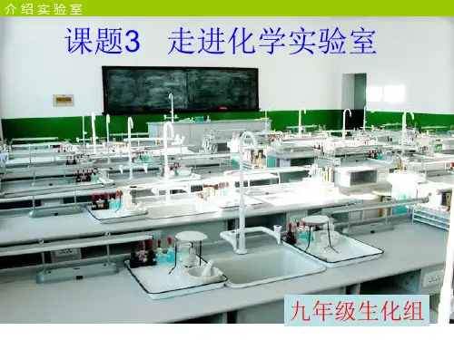 走进化学实验室