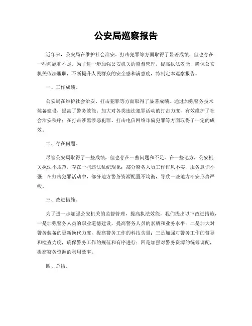 公安局巡察报告