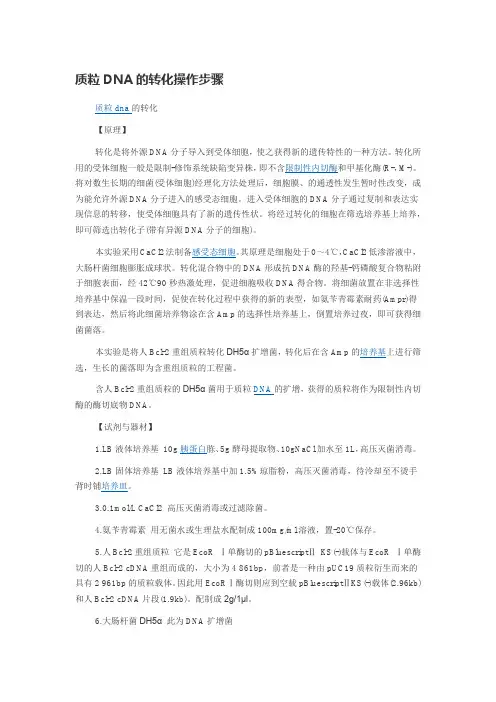 质粒转化