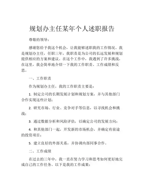 规划办主任某年个人述职报告