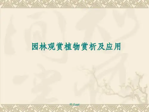 园林观赏植物赏析及应用