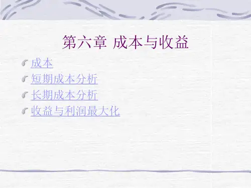 成本与收益.ppt