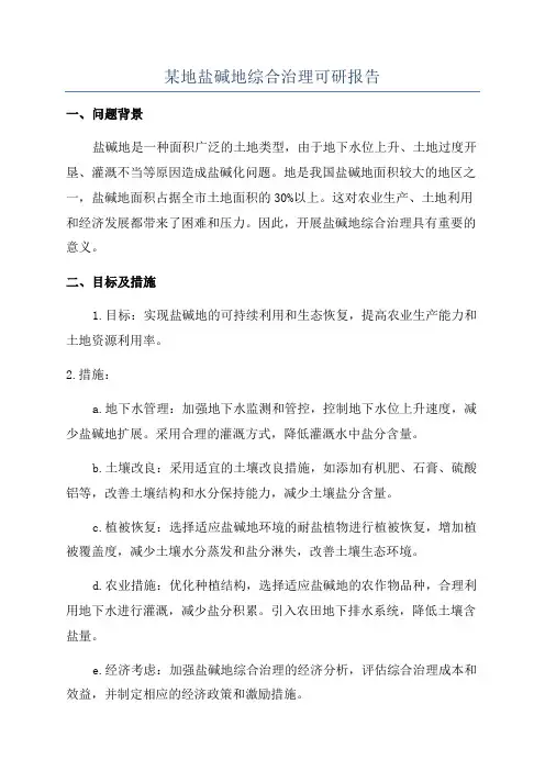 某地盐碱地综合治理可研报告