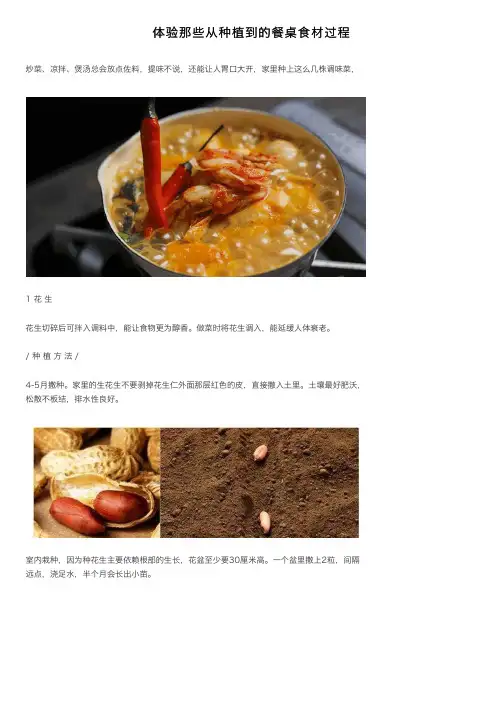 体验那些从种植到的餐桌食材过程