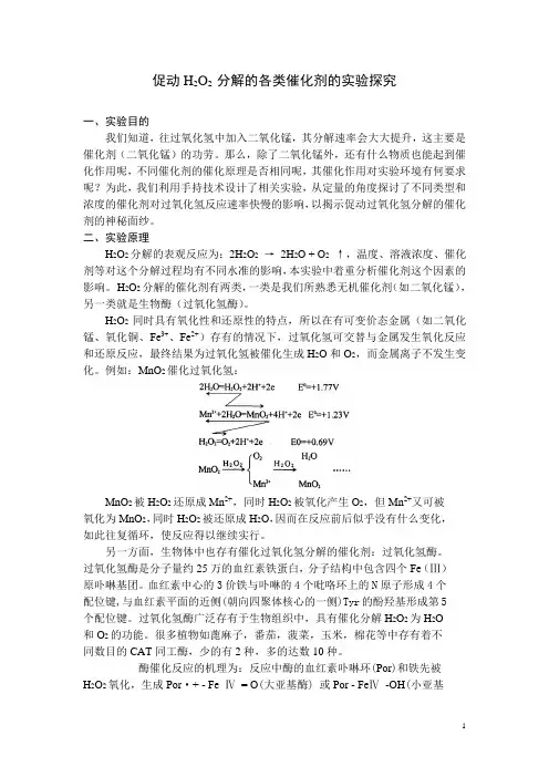 促进H2O2,分解的各类催化剂的实验探究