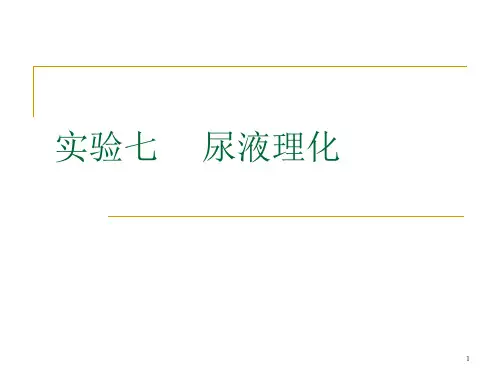 尿液理化ppt课件