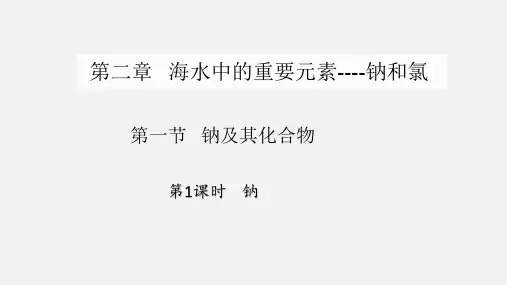 人教版(2019)必修一第二章第一节钠及其化合物第一课时钠