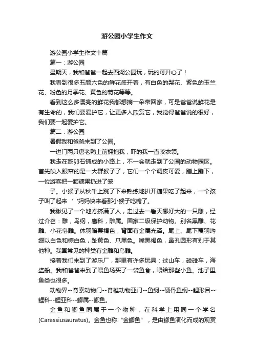 游公园小学生作文十篇