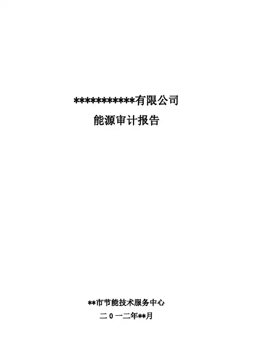 万家企业能源审计报告范本
