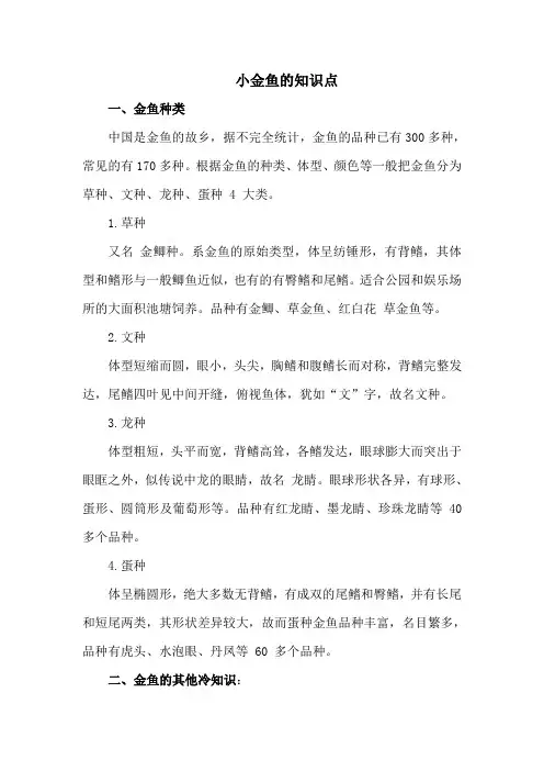 小金鱼的知识点