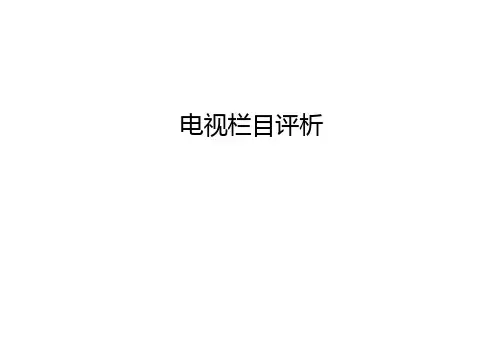 电视栏目评析讲课教案