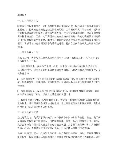 大田作物病害识别实习报告