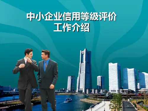 中小企业信用等级评价工作介绍.pptx