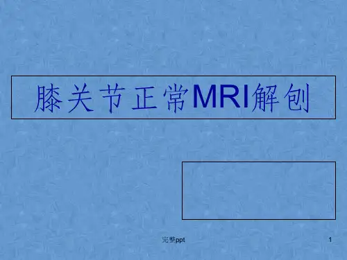膝关节高清MRI解剖