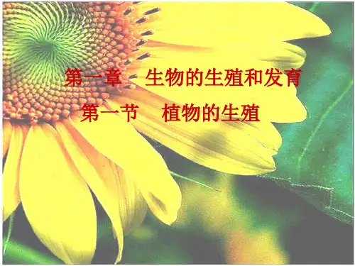 《植物的生殖》PPT课件