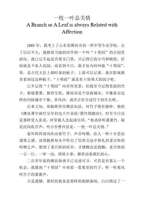 一枝一叶总关情