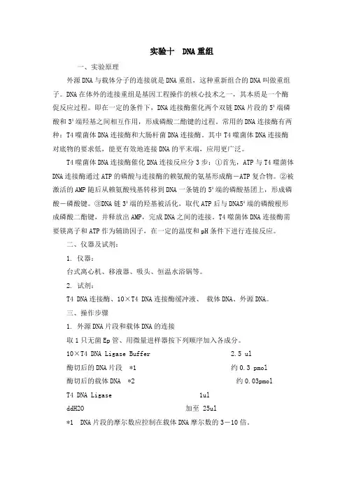 DNA重组实验原理及步骤