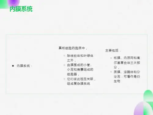 细胞生物学-3内质网和核糖体