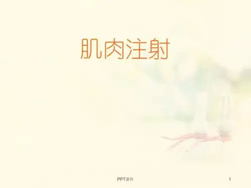 肌肉注射  ppt课件