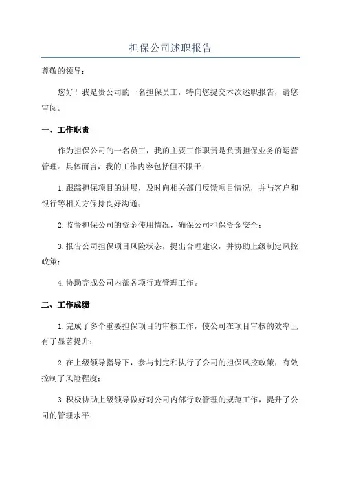 担保公司述职报告