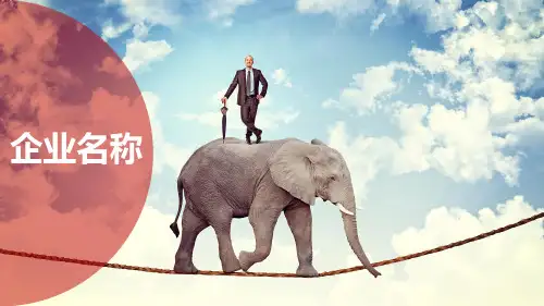 企业宣传团队介绍营销汇报PPT模版