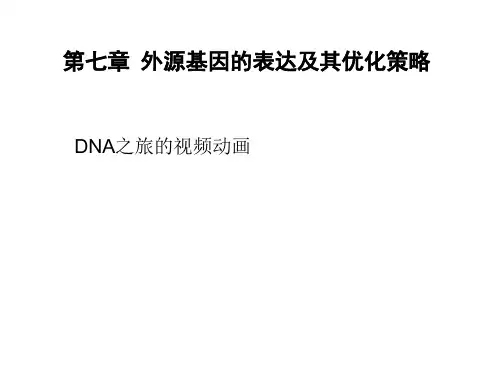 第七八章-外源基因的表达及其优化策略20201112