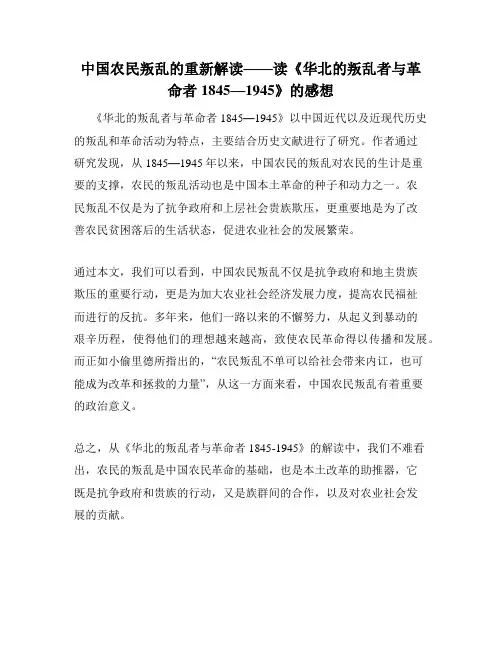 中国农民叛乱的重新解读——读《华北的叛乱者与革命者1845—1945》的感想