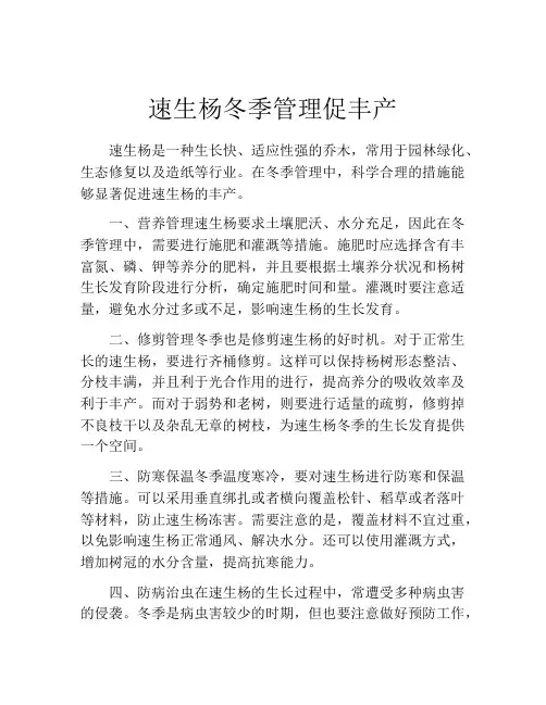速生杨冬季管理促丰产