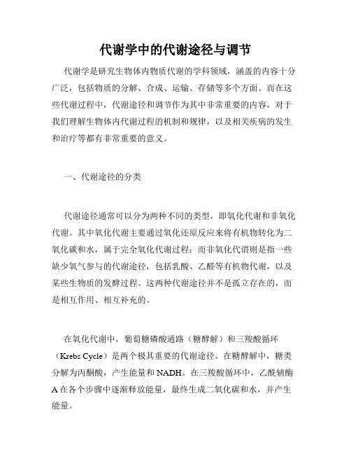 代谢学中的代谢途径与调节
