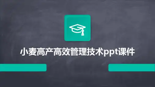 小麦高产高效管理技术ppt课件