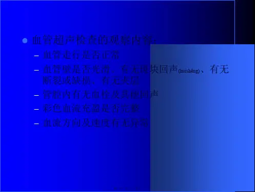 血管超声检查技术38345.ppt