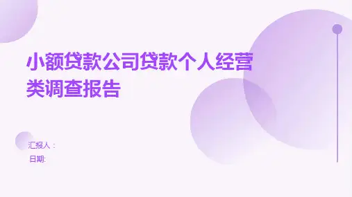 小额贷款公司贷款个人经营类调查报告