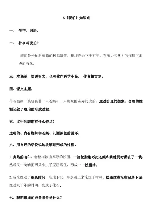 5《琥珀》图知识点
