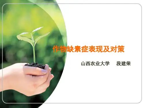 作物缺素症表现及对策