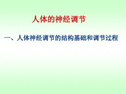 人体神经调节的结构基础和调节过程