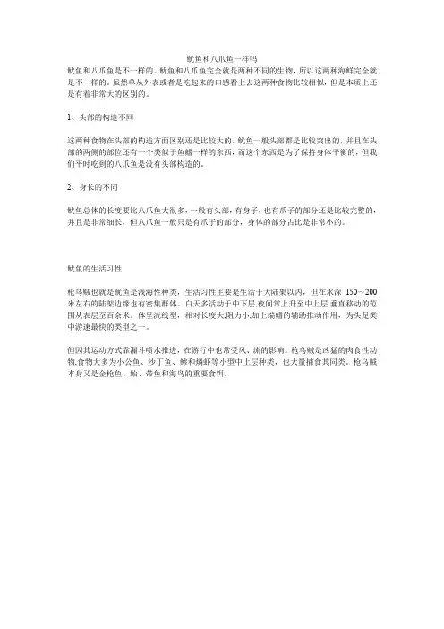 鱿鱼和八爪鱼一样吗