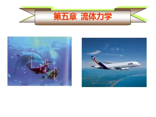 第五章流体力学培训讲学